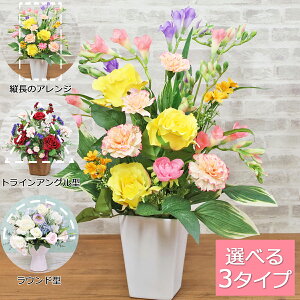  AW[܂ t[AW 5000 VNt[ CTG} G} a LO CeA t[AWg arg