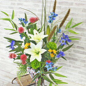  ƍ̗₩ȉăAW VNt[ tFCN CTG} G}  TT [ t[AW CeA t[AWg arg