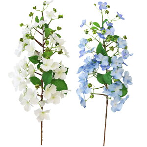  2ނIׂ LX^[hnChWA u[ zCg Pi VNt[  AWTC z CTG} G} tan