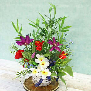  ƃvAnCrXJXẴAW VNt[ tFCN CTG} G} TT t[AW CeA t[AWg arg