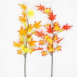  2ނIׂ [v[tu` Pi VD6690 ݂ ~W gt tFCN fBXvC VNt[ CTG} G} tan