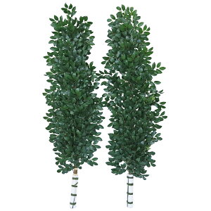   TCY TCY\ 200cm  VNt[    _ n _  TJL ^ CTG} G} bgr snb