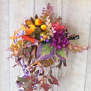 AEgbg  [JREX̃p[vn̕Ǌ|AW nEB ڂ J{` pvL VNt[ CTG} G} t[AW CeA t[A