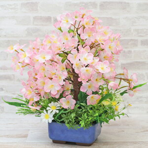 ���� ���炵��������~�͎d���ăA�����W �V���N�t�����[ �� �T�N�� �t CT�G�} ���G�} �t�����[�A�����W�����g �C���e���A arg