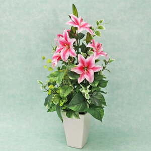  sNJTuJƃ|gX̔A AW VNt[ CTG} G} t[AW CeA t[AWg arg