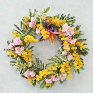 ���� �~���U�����Ղ�̃��[�X�Ƀ\�t�g�~���N�̃}���̃A�����W �V���N�t�����[ �t CT�G�} ���G�} �t�����[�A�����W �C���e���A �t�����[�A�����W�����g arg