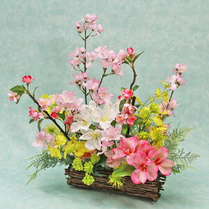  ƃAXgÃAW VNt[  TN CTG} G} t[AWg CeA arg