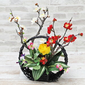  Ö؂Ȕ~ƃpW[̃AW VNt[  E CTG} G} t[AWg CeA arg