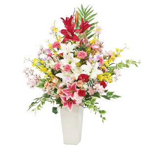  JTuJgp₩ȎT̂߂̏cAW VNt[ CeA t[AWg t̃AW   [ J[l[V  TN  