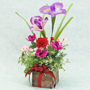  AƃJ[l[ṼAW VNt[  CTG} G} ACX  ԏҊ t[AWg CeA arg