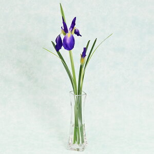  Ä֑}}WJEH[^[̃AW VNt[  CTG} G} ACX  ԏҊ  XPg t[AWg mga