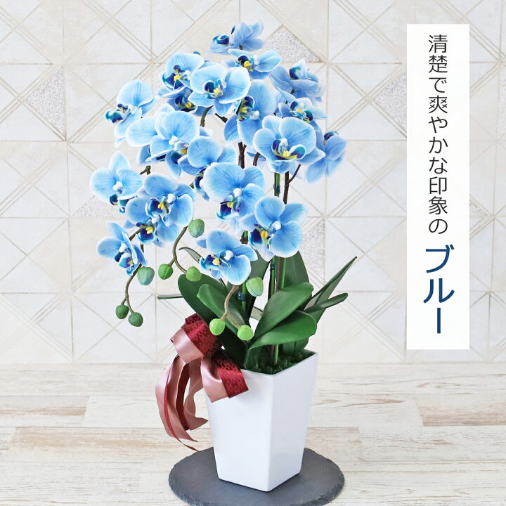 楽天市場】胡蝶蘭 造花 ミディ胡蝶蘭の手頃な大きさの鉢植え 3本立ち 