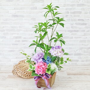  AZrƃAWTC̊񂹐AAW ẴAW  z CTG} G} VNt[ t[AW CeA t[AWg arg