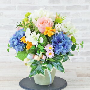  AWTCƏԂ̃h[^AW ẴAW  z Eh^ CTG} G} VNt[ t[AW CeA t[AWg arg