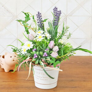  x_[ƃVK[oC̃i`AW ẴAW CTG} G} VNt[ t[AW CeA t[AWg arg