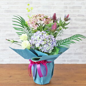  AWTCƃGWE̔AAW ẴAW  z CTG} G} VNt[ t[AW CeA t[AWg arg