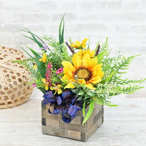  ΖLȃq}̃AW Ђ܂  ẴAW ̓ CTG} G} VNt[ t[AW CeA t[AWg arg