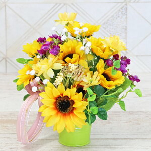  ΂̊ɓ~jЂ܂ƃWvV[̃AW q}  ẴAW ̓ CTG} G} VNt[ t[AW CeA t[AWg arg