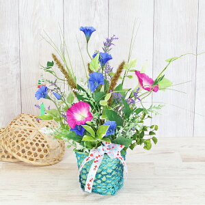  lRWVƍ]˒̗ȃAW ATKI  ˂炵 XeBOX ẴAW CTG} G} VNt[ t[AW CeA t[A