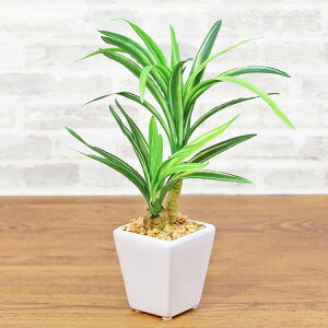 tFCNO[ ~j cChZi~j|bg v23007 AW ϗtA  VNt[ CTG} G} mgr