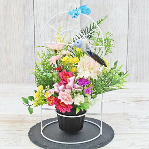  ~bNXf[W[ƃWv\̃AW CTG} G} VNt[ t[AW CeA t[AWg arg