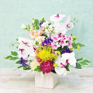  傤ft@ȂǗmȃAW VNt[ Ӓ R`E CTG} G} t[AWg CeA arg