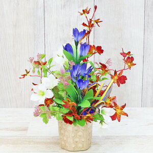  I[Lbh₫傤Ƃǂ̃AW H̃AW VNt[ hE j[ LLE CTG} G} t[AW CeA t[AWg arg