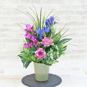  ǂƏHõAW H̃AW VNt[ hE KN CTG} G} t[AW CeA t[AWg arg