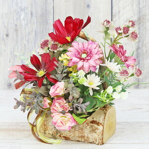  ƃRXX̃i`eCXg̃AW H̃AW VNt[  H CTG} G} t[AW CeA t[AWg arg