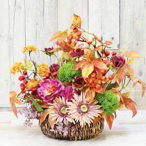  яH݂ɂĂ܂葐ƃAllȂǂ̏HAW H̃AW VNt[ ~W gt CTG} G} t[AW CeA t[AWg arg