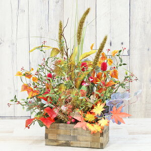  IZj`REȂǂ̏H̃AW H̃AW VNt[ ~W gt  N g CTG} G} t[AW CeA t[AWg arg