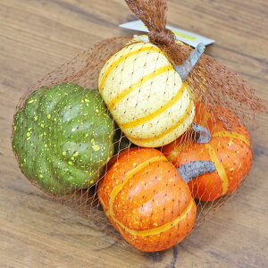 I[^pvLA\[gMIX 6 HW1879 nEB ڂ J{`  fBXvC VNt[  tFCN frt