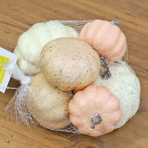 }[upvLA\[gMIX 6 HW1890 nEB ڂ J{`  fBXvC VNt[  tFCN frt