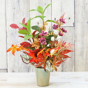  J[hRXXƋ؍҂Ƃ݂̃AW H̃AW VNt[ LNZC ~W gt CTG} G} t[AW CeA t[AWg arg