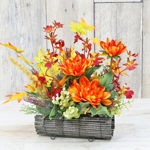  VbNȃIVW[ƃ}e[̃AW H̃AW VNt[ IVWE ݂ ~W gt CTG} G} t[AW CeA t[AW