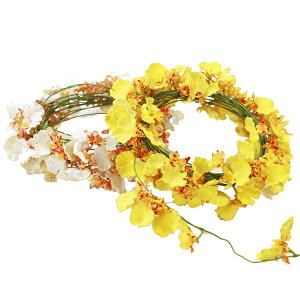  ~j[XɂȂ邨ȃIVWẼK[h F2Zbg IVW[ CTG} G} VNt[ tan