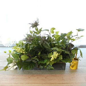  CeA ϗtA GWEƃXeȂǂ̃AW tFCNO[ CeAO[ G} CTG} VNt[ mgr