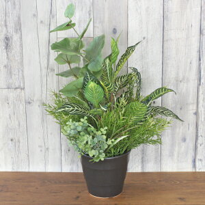  CeA [uƃ[J̔A VNt[ ϗtA tFCNO[ CeAO[ CTG} G} mgr