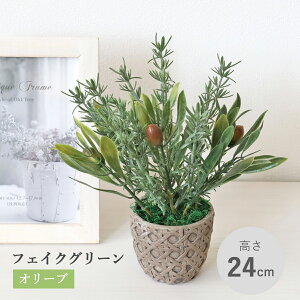  ϗtA tFCN I[uƃ[Y}[̔A A   CeA tFCNO[ CeAO[ CTG} G} mgr