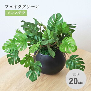  ϗtA tFCN Xê^̔A A   CeA tFCNO[ CeAO[ CTG} G} mgr