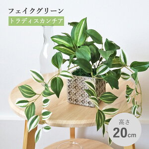 造花 観葉植物 フェイク トラディスカンチアの鉢植え リアル 卓上 小さめ インテリア フェイクグリーン インテリアグリーン CT触媒 光触媒 mgr