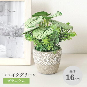  ϗtA tFCN [jE̔A zCgO[ A   CeA tFCNO[ CeAO[ CTG} G} mgr