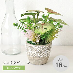  ϗtA tFCN Xe̔A O[sN A   CeA tFCNO[ CeAO[ CTG} G} mgr