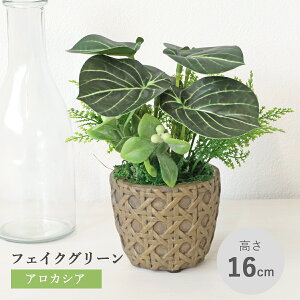 造花 観葉植物 フェイク アロカシアの鉢植え ダークグリーン リアル 卓上 小さめ インテリア フェイクグリーン インテリアグリーン CT触媒 光触媒 mgr