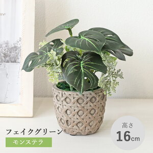  ϗtA tFCN Xe̔A _[NO[ A   CeA tFCNO[ CeAO[ CTG} G} mgr