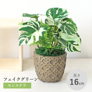  ϗtA tFCN Xe̔A O[ A   CeA tFCNO[ CeAO[ CTG} G} mgr