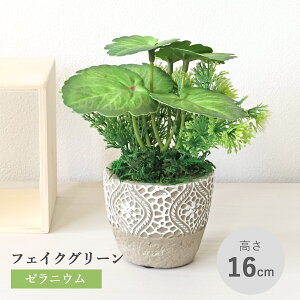  ϗtA tFCN [jE̔A O[ A   CeA tFCNO[ CeAO[ CTG} G} mgr