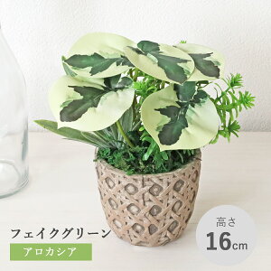  ϗtA tFCN AJVA̔A O[ A   CeA tFCNO[ CeAO[ CTG} G} mgr