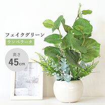 楽天市場】フェイク ウンベラータの通販