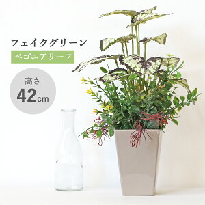  ϗtA tFCN xSjA[t̔A 42cm tFCNO[ A CeA G} CTG} VNt[ mgr